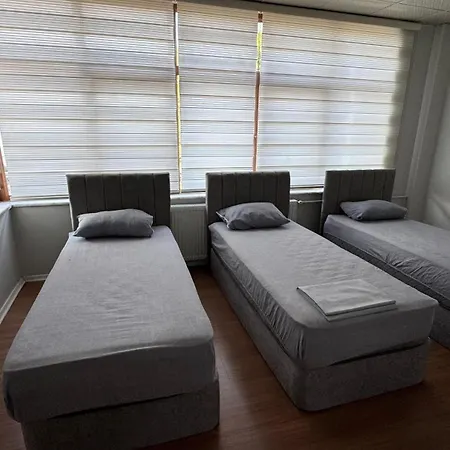 Hostelida *