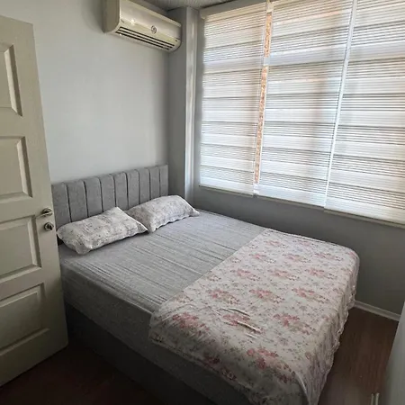 Hostel Hostelida *